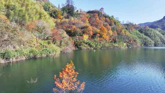 四明山秋天秋景秋色 茅镬公园