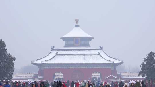 北京天坛下雪雪景