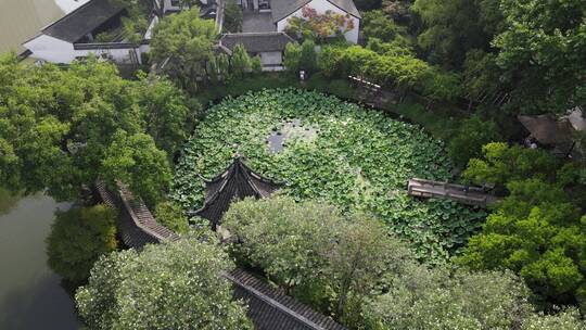 荷花园荷花荷叶空镜古典园林4K航拍