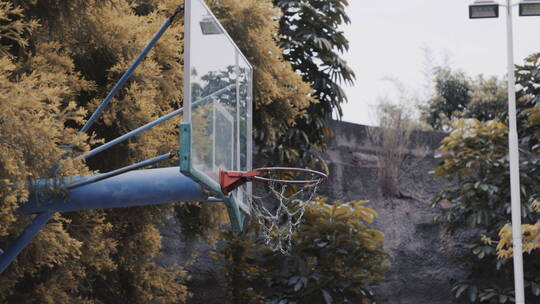 金黄色的树叶背景下，篮球投进篮球框