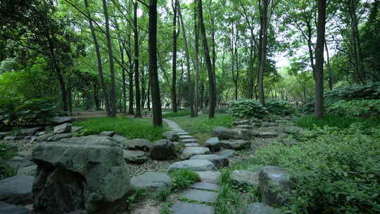 武汉青山区青山公园