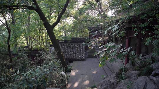 杭州玉皇山景区天龙寺