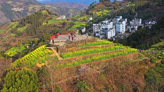 安徽黄山石潭油菜花