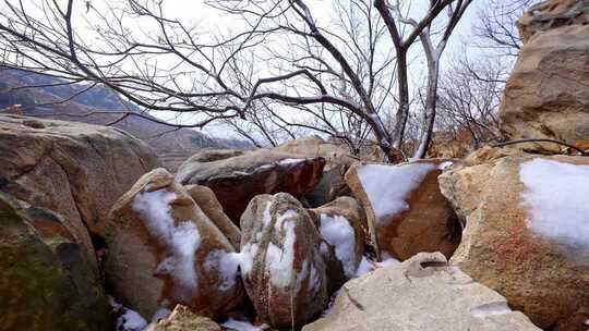 山间雪景雪地枯木积雪
