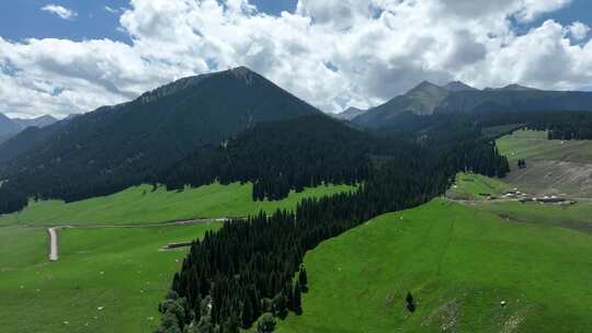 新疆乌孙古道山川树林草地