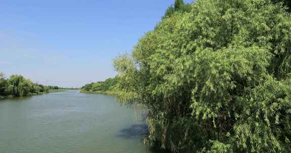 苏州太湖湿地国家森林公园自然风光宣传片