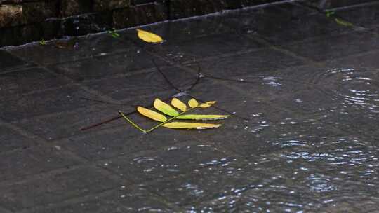 城市马路道路下雨天雨水雨滴大自然风景风光