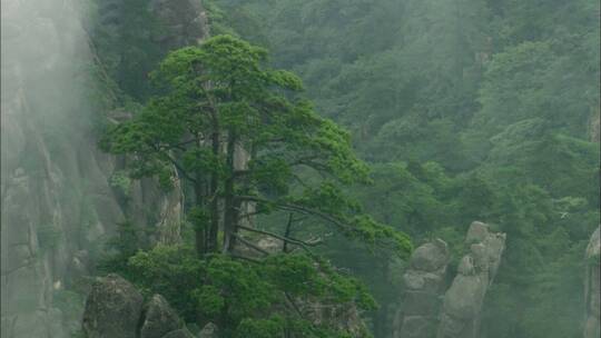 清晨山峰云雾缭绕