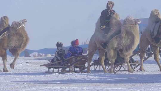 第二十届冰雪那达慕开幕式上威风驼队