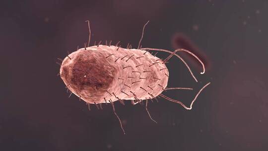 医疗病菌病毒细菌分子病原体生物三维动画