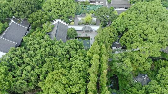 树林环绕绿色生态上海著名旅游风景区醉白池