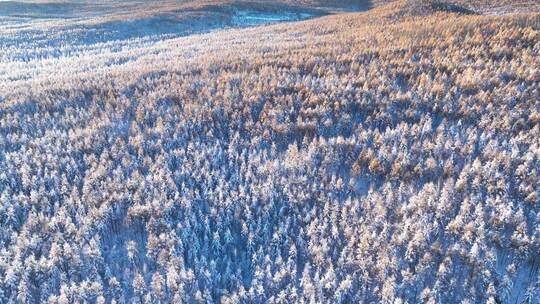 秋日雪后山林秋雪雾凇银装素裹