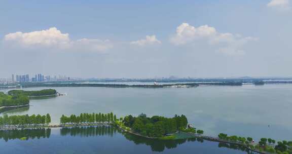 武汉东湖风景区夏季自然风光