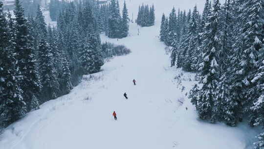 冬季降雪空中射击滑雪运动员在山林中的慢动