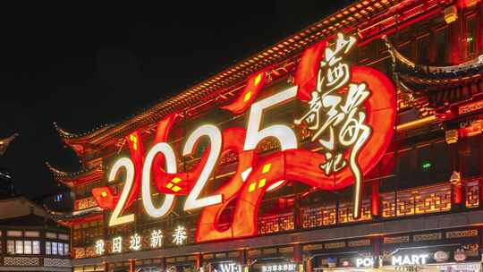 上海豫园2025年灯会蛇年春节新年延时