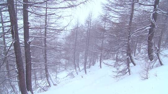 大雪覆盖的山