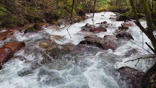 清澈山涧溪流