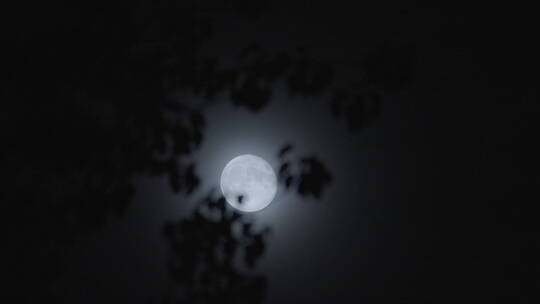 月亮意境 中秋圆月