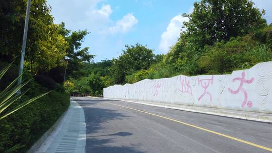 夏天阳光树林路面