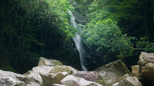 山涧瀑布绿植青苔