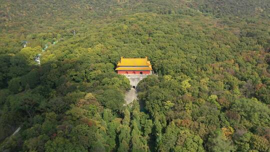 航拍南京钟山景区