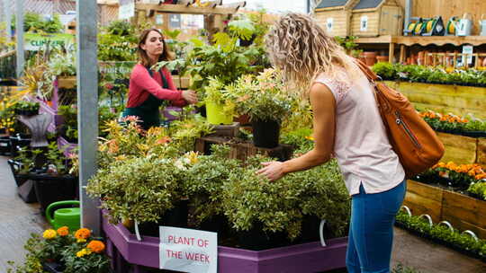 女花匠用喷壶浇花，而顾客在看盆栽