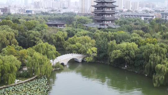 航拍山东济南著名景点大明湖视频素材模板下载