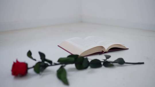 遗落在书本旁边的玫瑰花