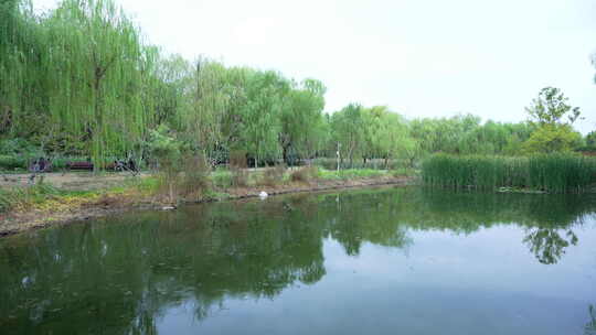 武汉光谷三路湿地公园风景