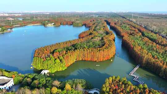 上海奉贤海湾国家森林公园  奉贤湿地公园