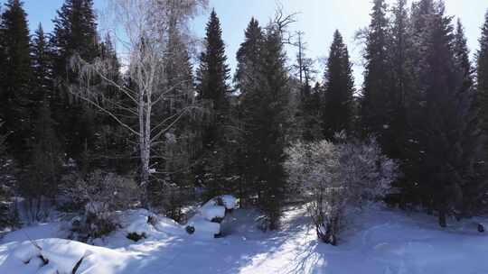 航拍新疆冬季喀纳斯河流晨雾雪山森林雪景