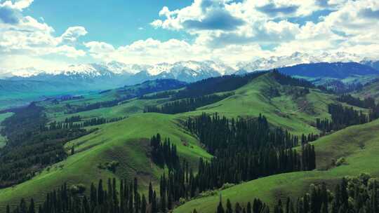新疆伊犁草原雪山风景