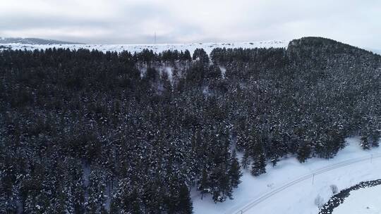 白雪覆盖的森林鸟瞰视频素材模板下载
