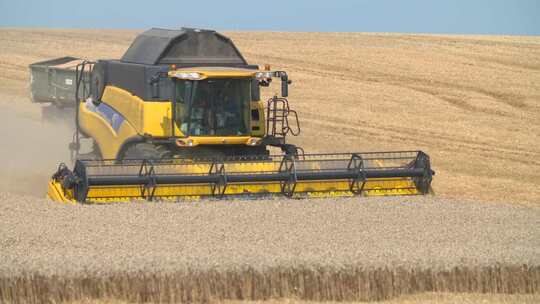 收割机收割小麦 小麦收割 农业机械视频素材模板下载