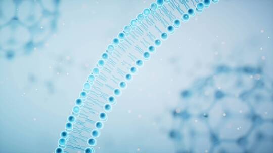 分子与蓝色背景下的细胞膜模拟