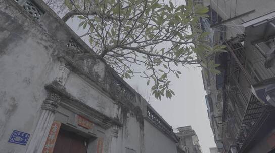 潮州民居步行街骑楼建筑（4k升格log灰）高清在线视频素材下载