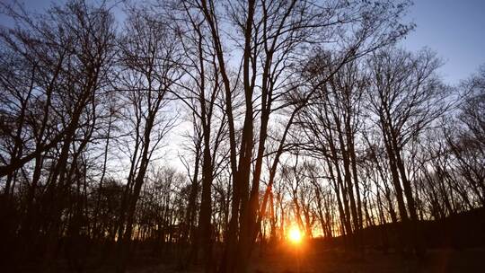 冬天森林里的日落，时光流逝