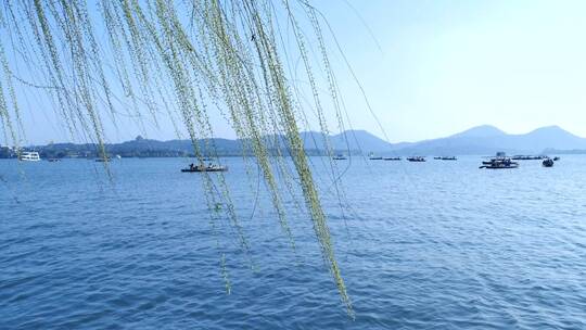 杭州西湖风景区白堤风景