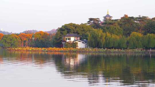 杭州西湖孤山公园秋天风景