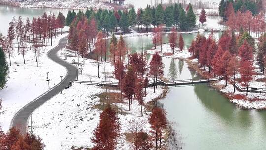 航拍湿地公园雪景树林湖岛