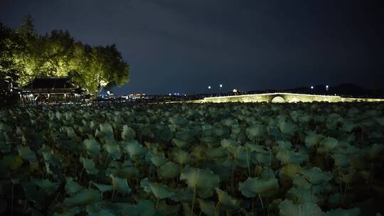 杭州西湖景区断桥夜景视频素材模板下载