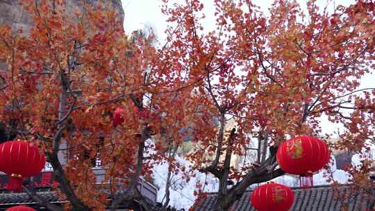 沕沕水生态风景区 枫叶 红 植物 茂密