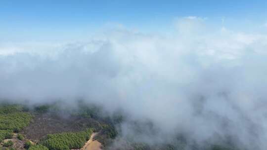 威宁自治县雪山镇灼甫草场云海