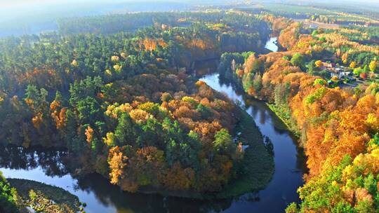 秋天日出时的森林和河流鸟瞰