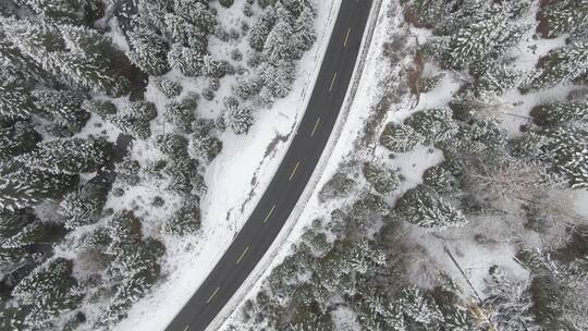 喀纳斯 新疆 公路雪景视频素材模板下载