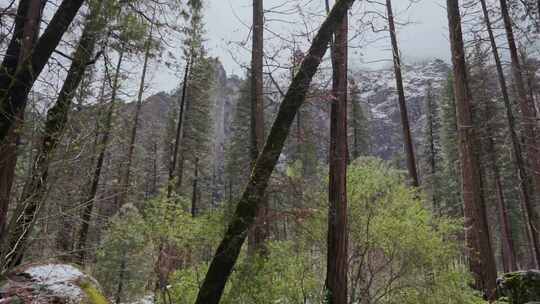 优胜美地，森林，驾车穿越，山脉