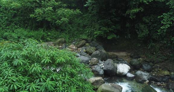 夏日山涧溪流清凉舒心