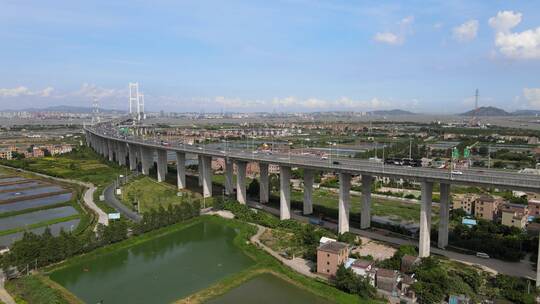 南沙大桥 广州 珠三角 桥梁 交通 大湾区