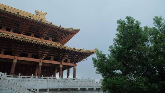 柳州文庙中式庭院古建筑雨景雨季大雨暴雨