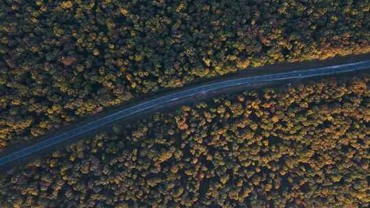 穿越秋季森林的美丽高速公路的空中俯视图